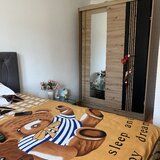 Rahova, Aleea Vicina, Petre Ispirescu